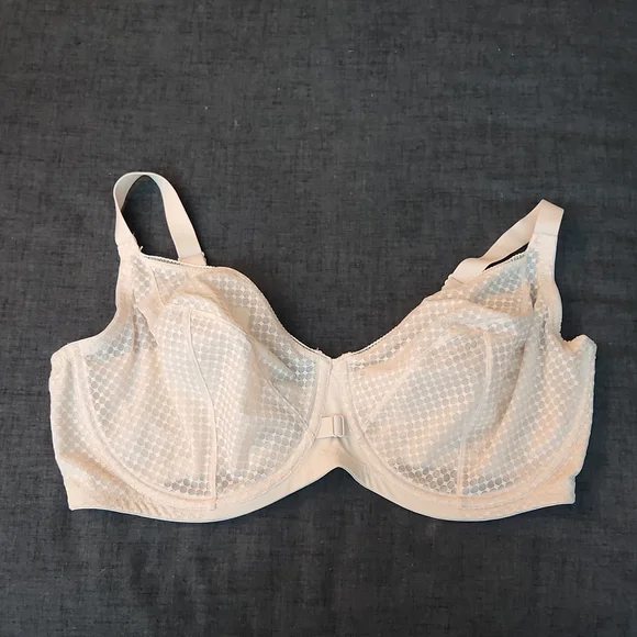 Playtex Intimates Sleepwear Nude Playtex Secrets Amazing